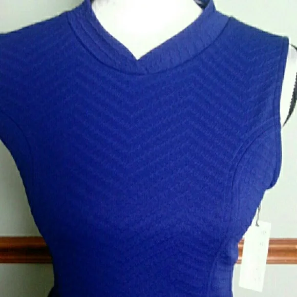 Petite New Stitch fix blue loveappella size large dress. - Picture 2 of 5